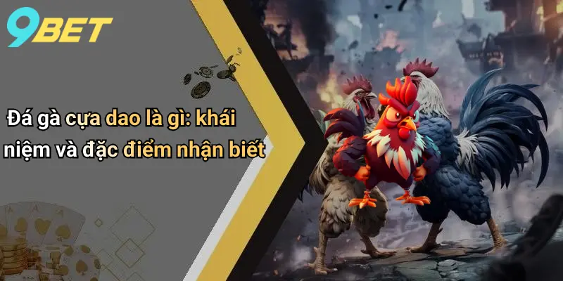 Đá Gà Cựa Dao Là Gì: Khám Phá Sân Chơi Kịch Tính Trực Tuyến 1 Đá gà cựa dao là gì: khái niệm và đặc điểm nhận biết