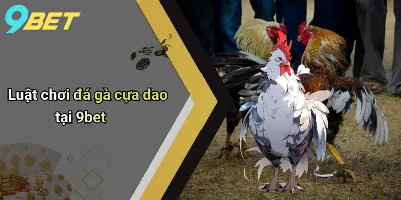 Đá Gà Cựa Dao Là Gì: Khám Phá Sân Chơi Kịch Tính Trực Tuyến 2 Luật chơi đá gà cựa dao tại 9bet