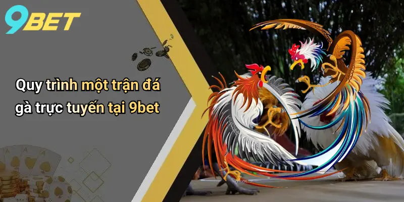 Đá Gà Trực Tuyến: Cá Cược Kịch Tính, Công Bằng Cùng 9bet 4 Quy trình một trận đá gà trực tuyến tại 9bet